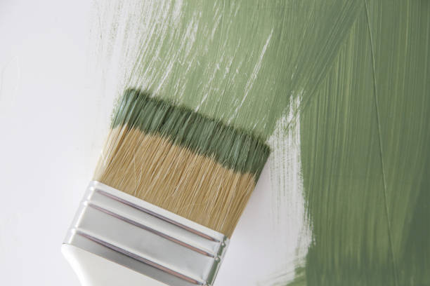 Best Real Estate Mold Inspection  in Rlsbad, CA