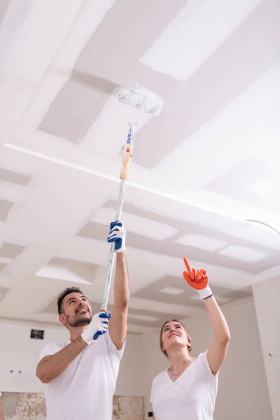 Best Mold Prevention Services  in Rlsbad, CA