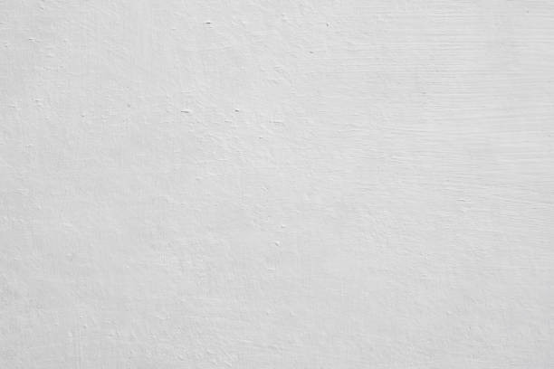 Best Commercial Mold Inspection  in Rlsbad, CA