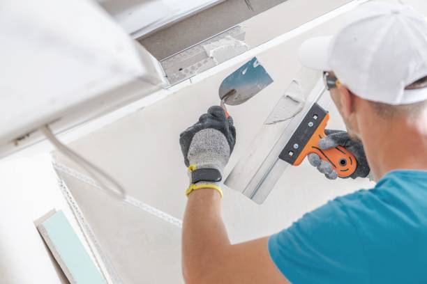 Best Environmental Consulting for Mold Prevention  in Rlsbad, CA